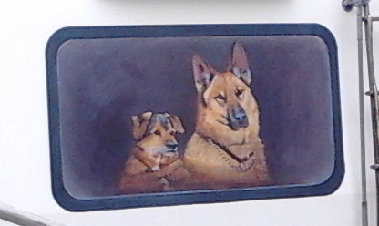 herston dogs cropped