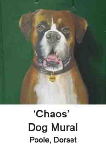 chaos
