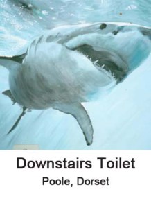 downstairs toilet thumbnail