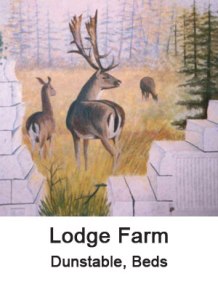 lodge-farm-thumbnail