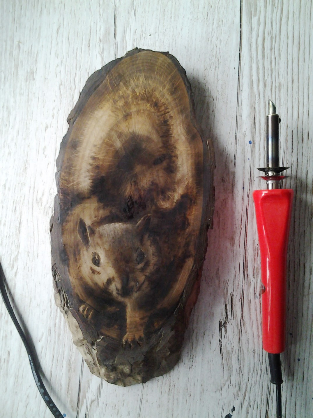 squirrel approaching