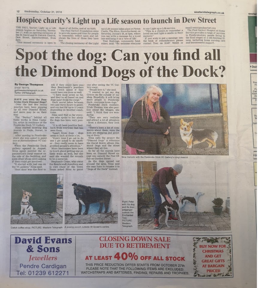western telegraph article about nina camplin and  dimond dogs