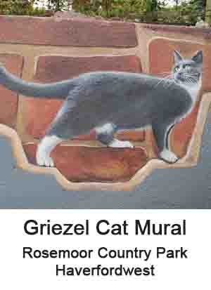 Griezel Cat Mural rosemoor haverfordwest
